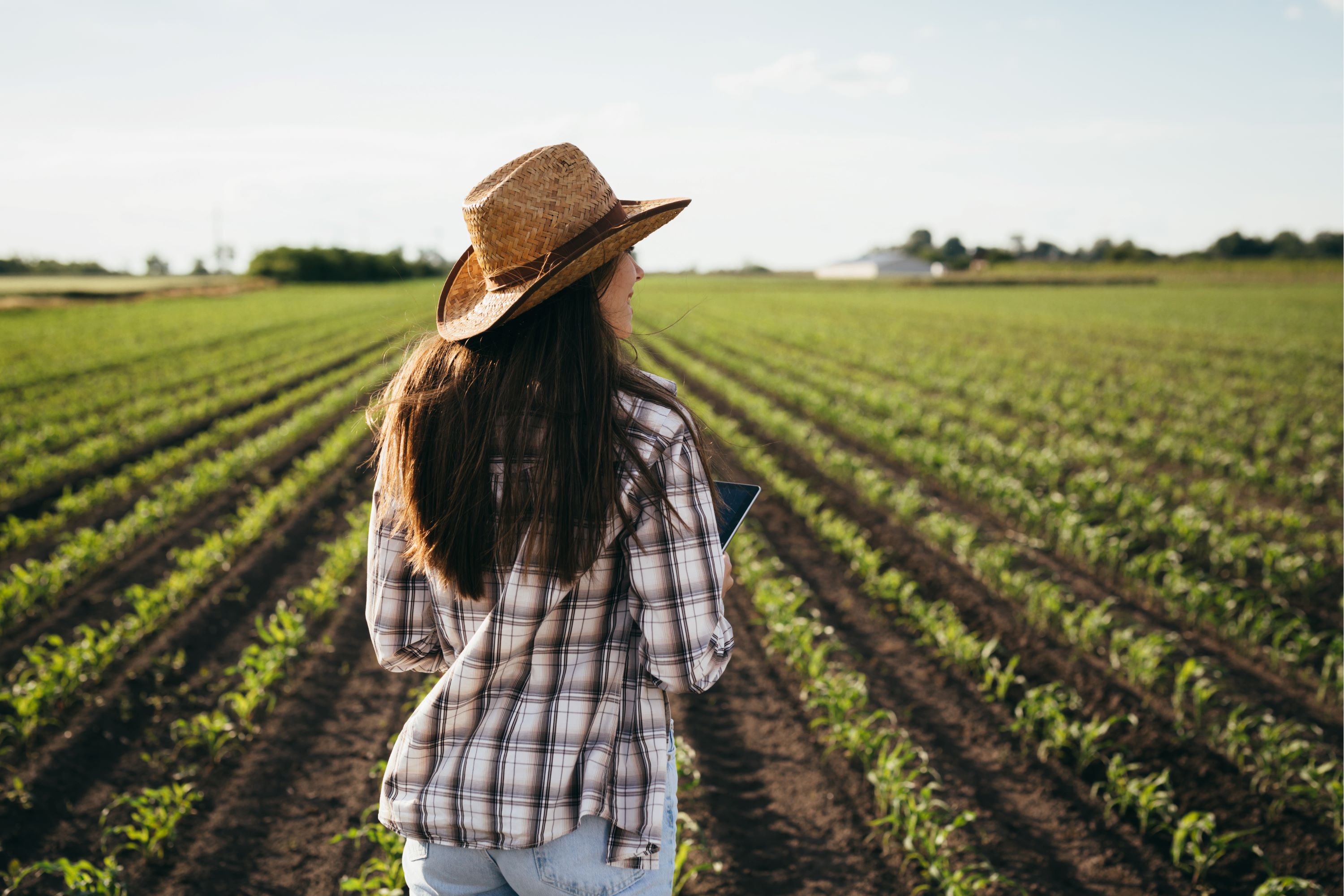 Agriculture professional standing in a field sowed with crops